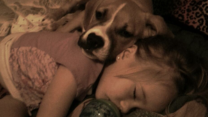Tonto<