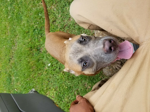 Pretty Boi<