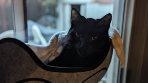 Batman<