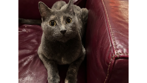 STORMY<