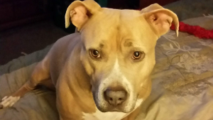 Keno<