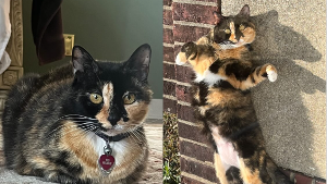 Kiki<