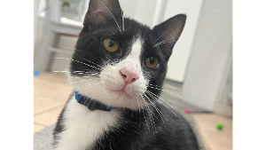 Oliver<