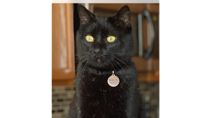 Midnight aka Mimi<