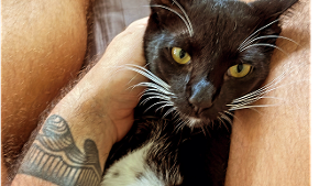 Chocolate Chip - Meow Meow - Justin Bolle<