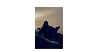 Humza<