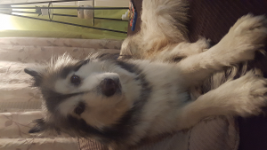 Kirra<