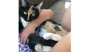 Lost Pet: Winnie