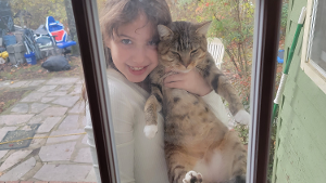 Lost Pet: Tigger Karch