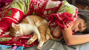 Lost Pet: Phoenix Searcy