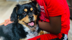 Lost Pet: Zoey Carter