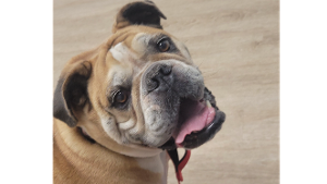 Max<