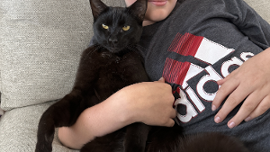 Lost Pet: Jax