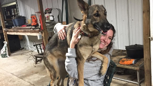 Lost Pet: Roo
