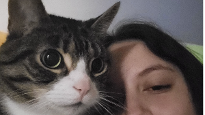 Lost Pet: MURPHY