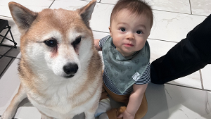 Lost Pet: Betsie Duong