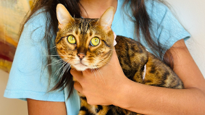 Lost Pet: Nora