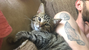 Lost Pet: Astro Echeverria