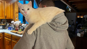 Lost Pet: Captain Robert Arvon 