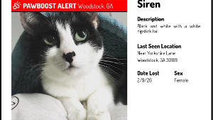 Lost Pet: Siren