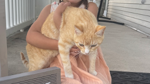 Lost Pet: Heidi