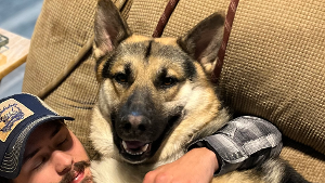 Lost Pet: Koda
