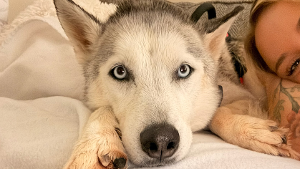 Lost Pet: Nahla