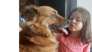 Lost Pet: Missy