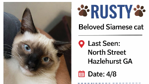Lost Pet: Rusty