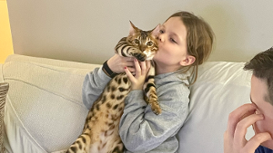Lost Pet: Simba
