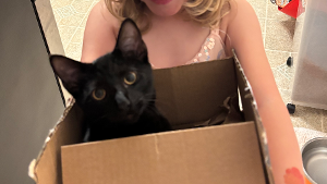 Lost Pet: Black Magic