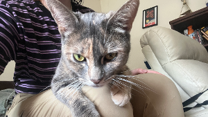 Lost Pet: Eden Benn
