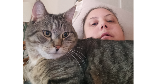 Lost Pet: Chunk