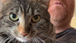 Lost Pet: Lowe