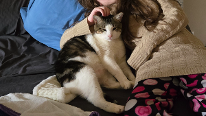 Lost Pet: Murphy