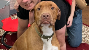 Lost Pet: Mack