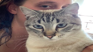 Lost Pet: Tano