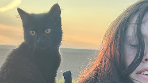 Lost Pet: Soot