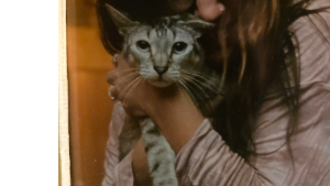 Lost Pet: WALTER