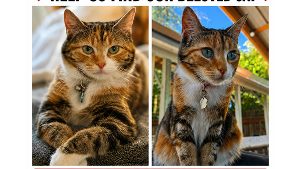 Lost Pet: Jane
